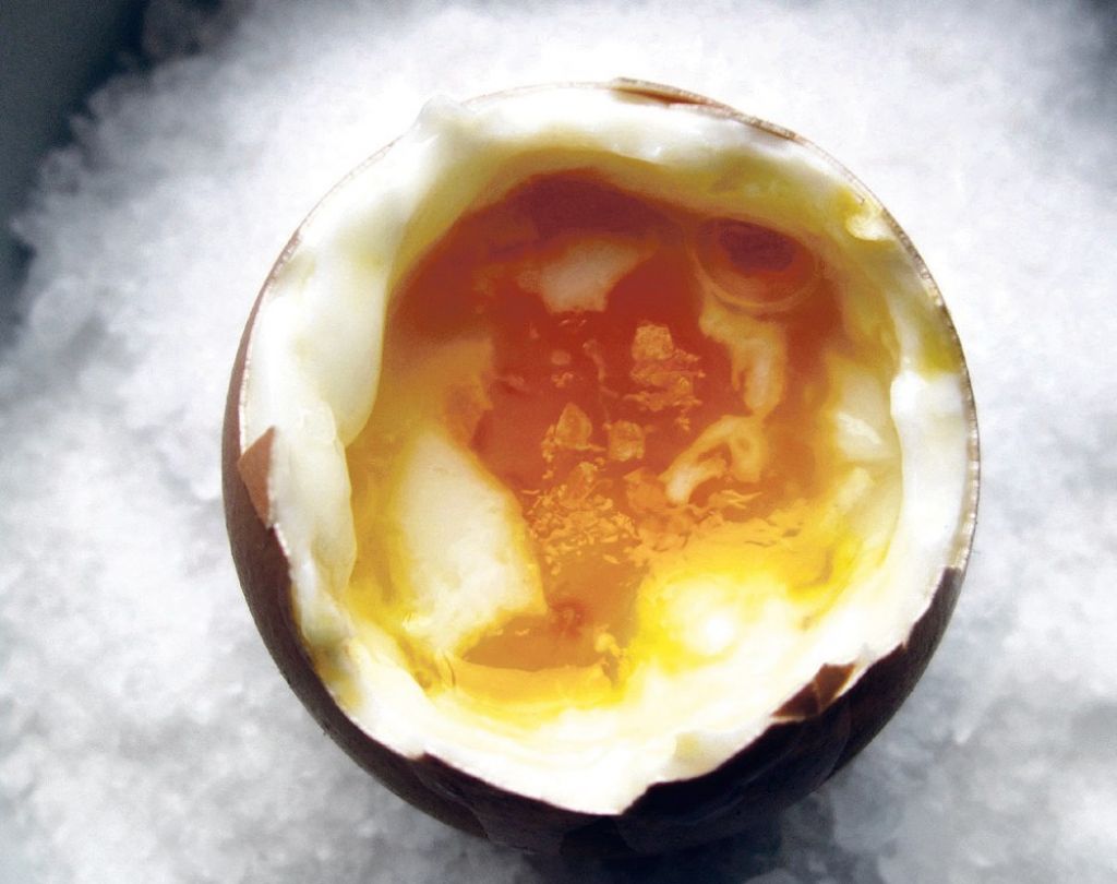 Modra jajca navdušila znanstvenike